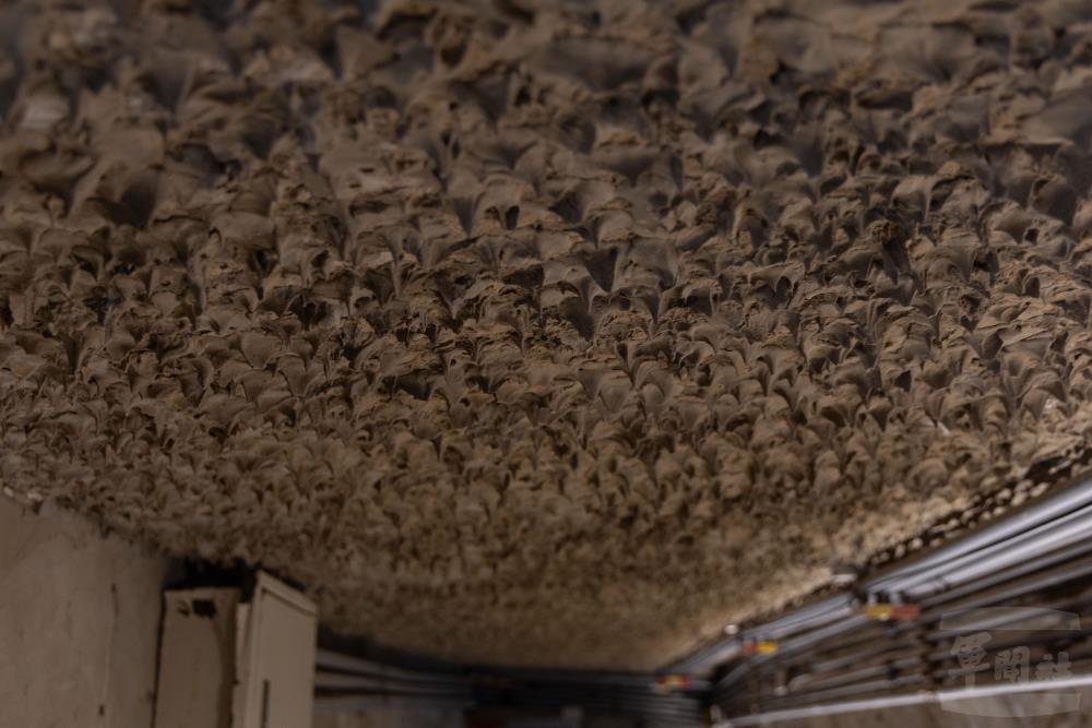 「消音錐」能有效吸收與分散槍砲射擊產生的聲波。（軍聞社記者吳柏融攝）