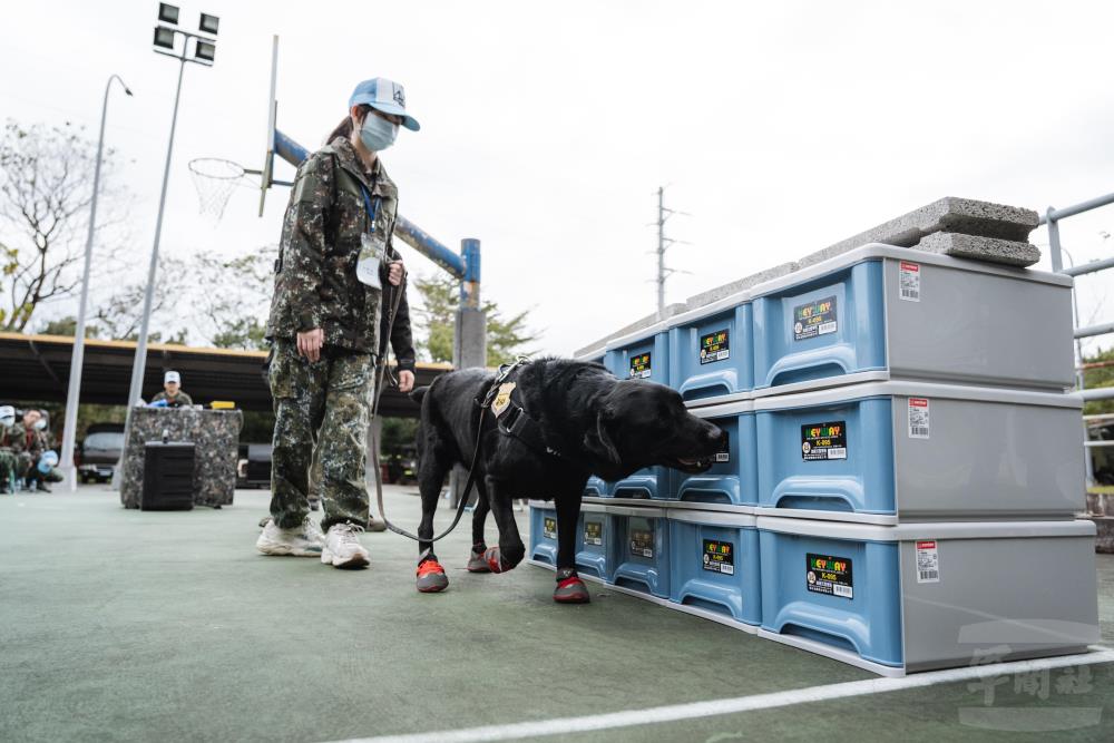 學員親自擔任領犬員搜索爆裂物。（軍聞社記者陳彥樺攝）