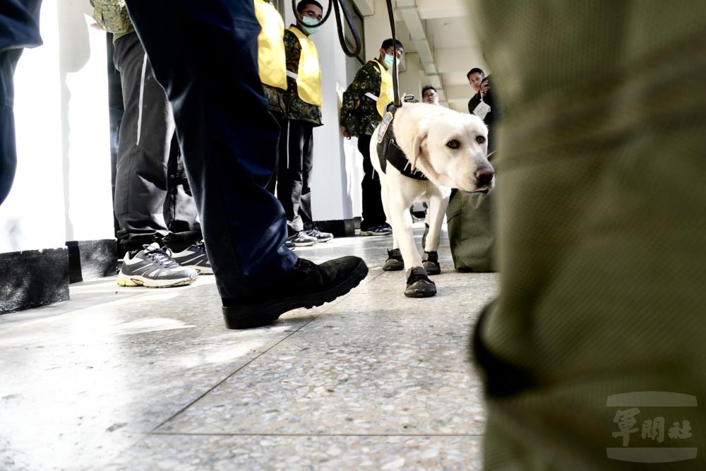 憲兵隊緝毒犬進行不定期安全檢查。（206旅提供）