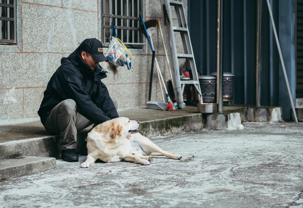 軍犬訓練師實際家訪領養人居家環境，觀察犬隻的狀態。（軍聞社記者陳軍均攝）