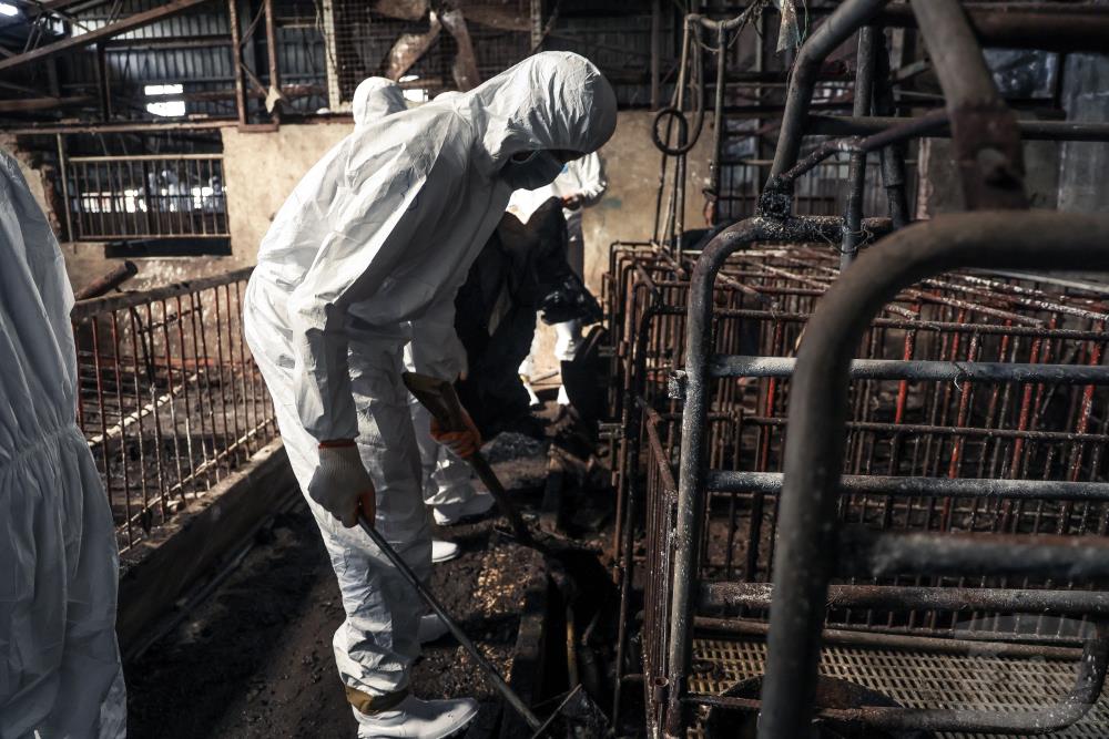 陸軍第十軍團官兵執行案場清潔作業。(青年日報提供) 陸軍第十軍團官兵執行案場清潔作業。(青年日報提供)
